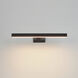 Pasha Wall Sconce Wall Light in Black
