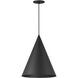 Pitch 1 Light 13.75 inch Pendant
