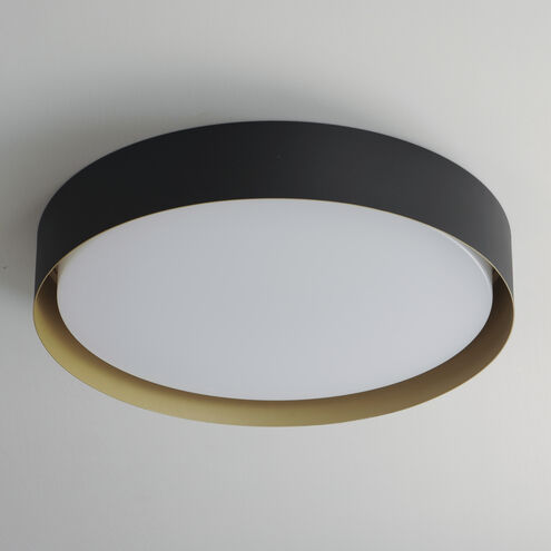 Echo LED 24 inch Black and Gold Single Pendant Ceiling Light in Black/Gold