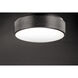 iQ FoH LED 17.75 inch Brushed Black Flush Mount Chandelier Ceiling Light