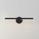 Dorian 12 watt 19 inch Black Picture Light Wall Light