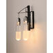 Capsule LED 12.5 inch Black and Brushed Aluminum Bath Vanity Light Wall Light