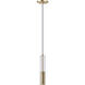 Torch 1 Light 2.50 inch Pendant