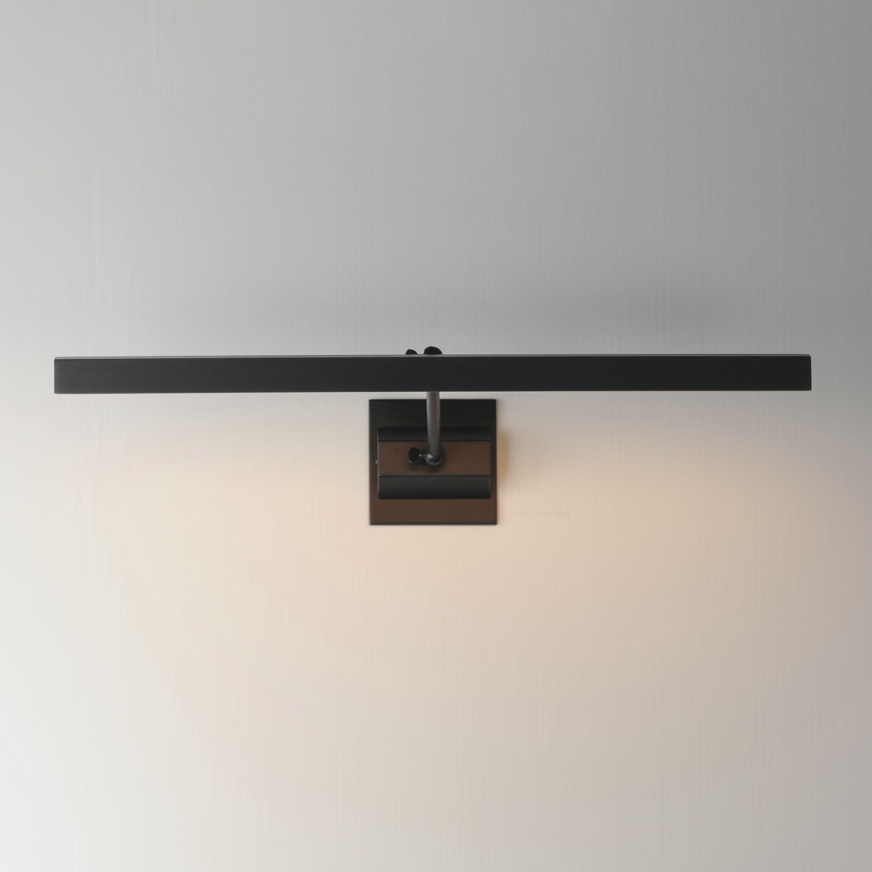 Pasha Wall Sconce Wall Light in Black