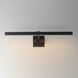 Pasha Wall Sconce Wall Light in Black