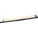 Continuum - Track 1 Light 120 Black Track Light Ceiling Light