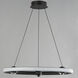 Nodes LED 24 inch Black Ring Pendant Ceiling Light