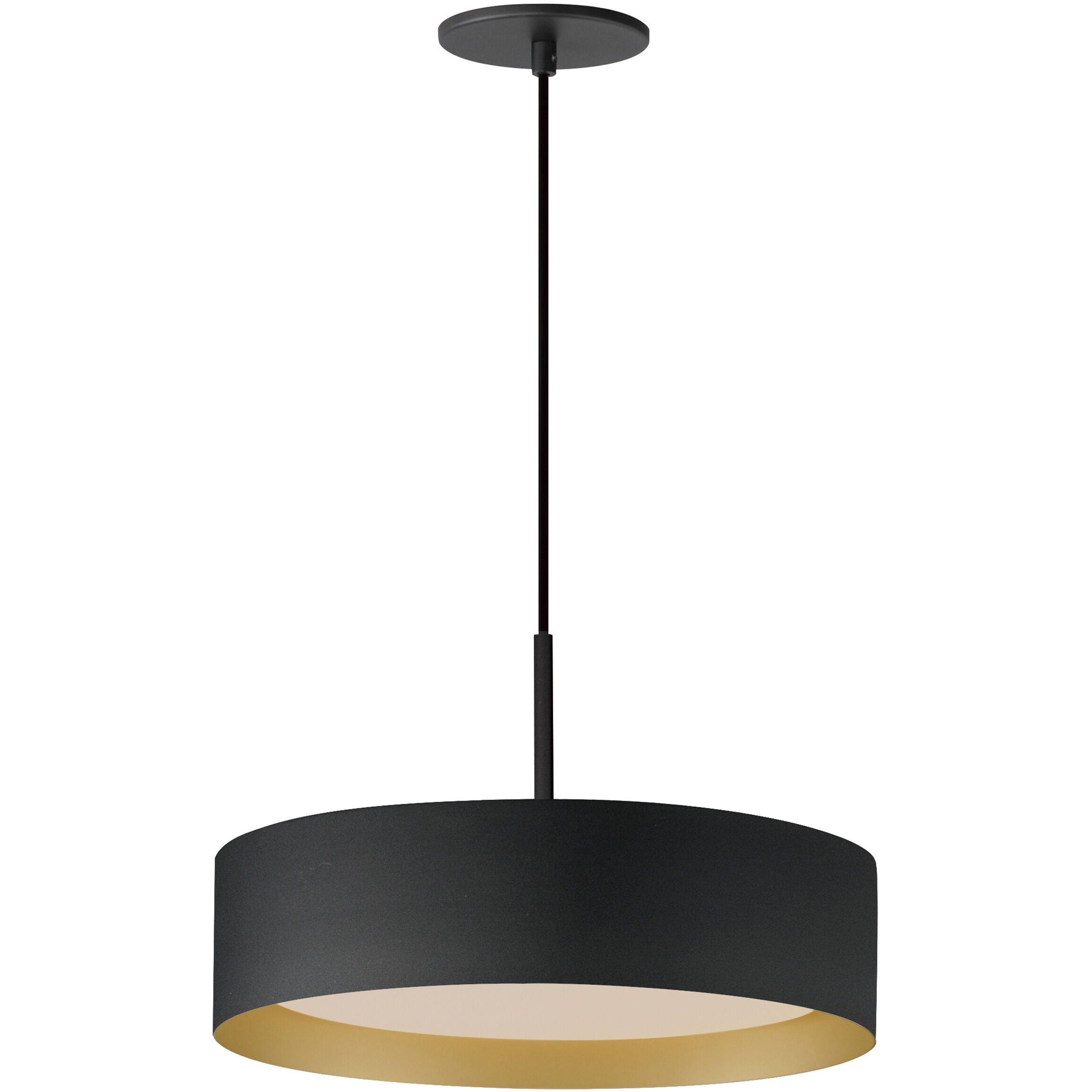 Echo LED 16 inch Black and Gold Single Pendant Ceiling Light in Black/Gold