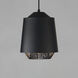 Phoenix LED 9 inch Black and Gold Single Pendant Ceiling Light in Black/Gold
