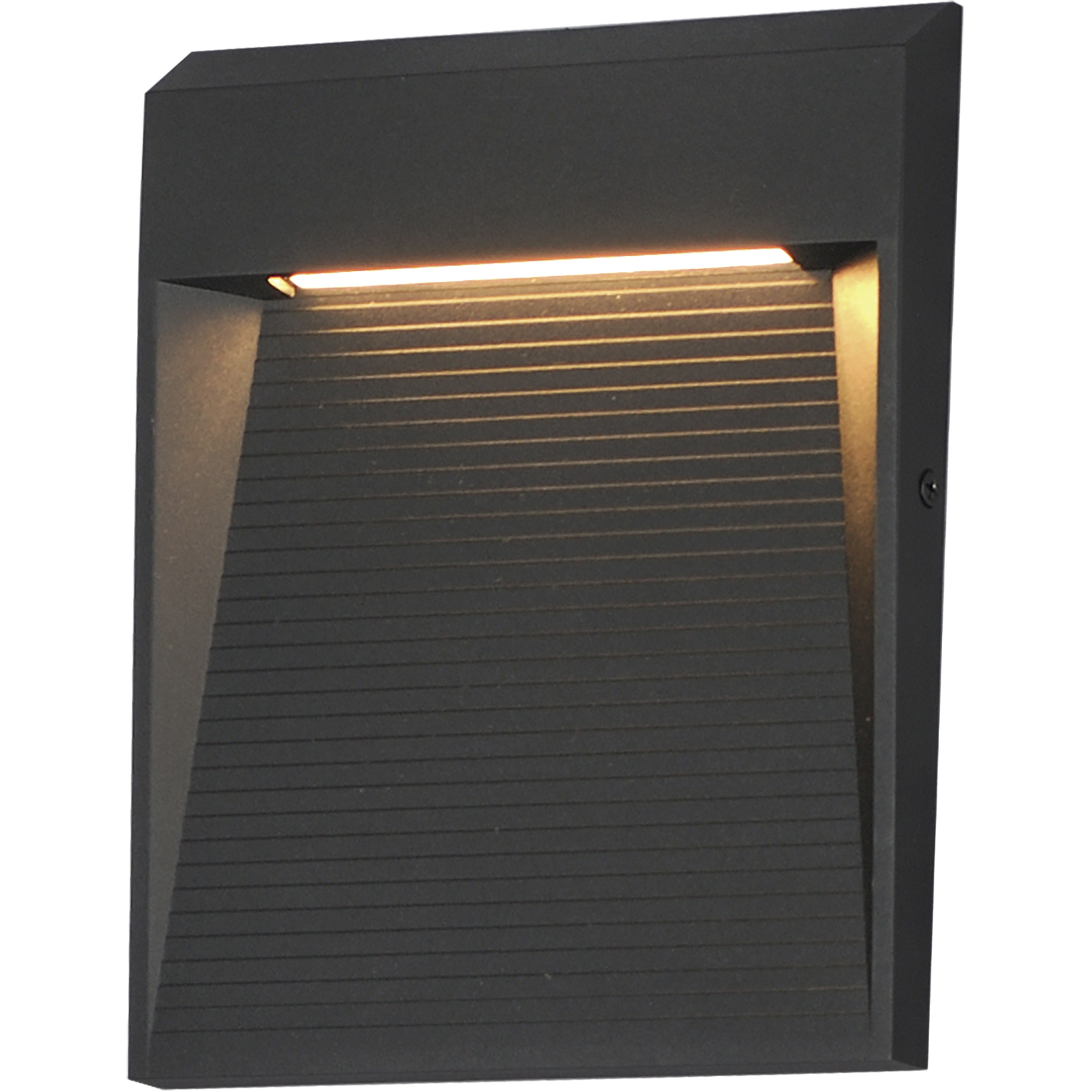 Steppes LED 9.5 inch Black Outdoor Wall Mount